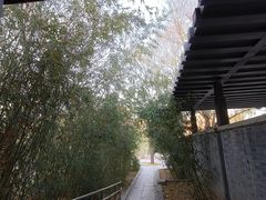 -南长河公园