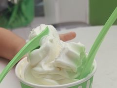 -Salud撒露欧洲冻酸奶(五道口购物中心店)