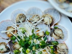 -山海菜馆·海肠捞饭·青岛菜(栈桥店)