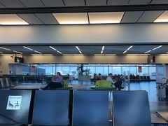 -维也纳国际机场