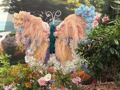 -上海鲜花港