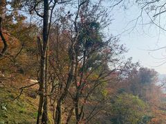 -广州市石门国家森林公园