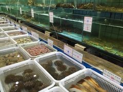 -海岛渔村大酒店(云霄路店)