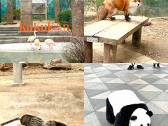 -无锡动物园·太湖欢乐园