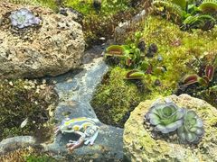 -国家植物园南园