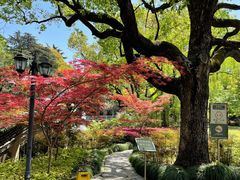 -申粤轩酒楼·三十年粤菜经典(丁香花园店)