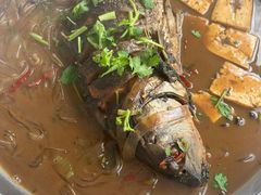 -庆岭迎宾园正宗活鱼馆