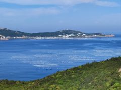 -枸杞岛
