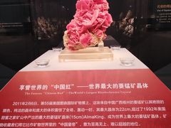 -湖南省地质博物馆