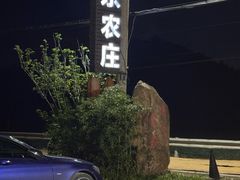 -李东农庄(中南百草园地标店)