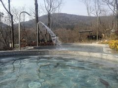 -汤山温泉房车营地 茶温泉