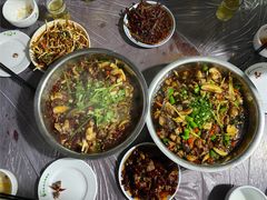 -食神又名厕所兔