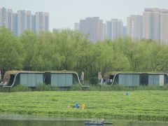 -洋湖国家湿地公园