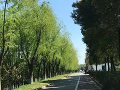 -梅林春晓花园餐厅