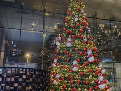 -朴大人炭烤·韩国料理(奥帆中心海尔洲际店)