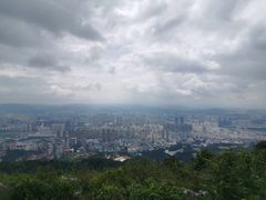 -长虫山生态公园风景林