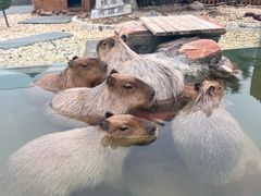 -郑州银基黄帝宫御温泉