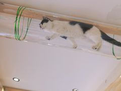 -萤火虫咖啡(后海店)