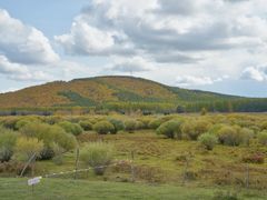 -塞罕坝国家级自然保护区