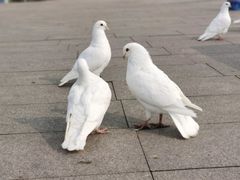 -春华海鲜城(广场西苑店)