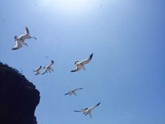 -海驴岛(荣成市)