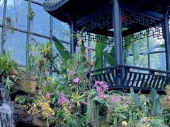 -东莞植物园