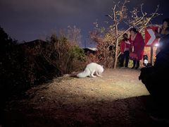 -鬼笑石后山停车场