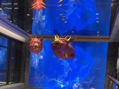 -鑫复盛皇嘉海鲜酒店