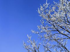 -东天目山风景区