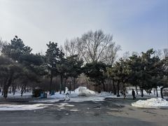 -北陵公园