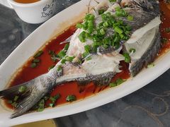 -七鲜渔港美食餐厅(巽寮湾海景店)