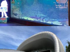 -烟台海昌鲸鲨海洋公园