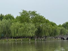 -东湖景区