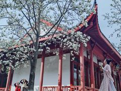-堤角公园