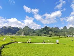 -万峰林风景区