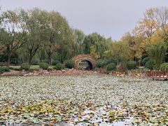 -济宁市太白湖旅游景区