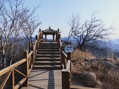 -大岭沟猕猴桃谷风景区