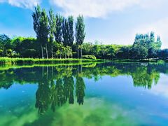 -大兴滨河森林公园