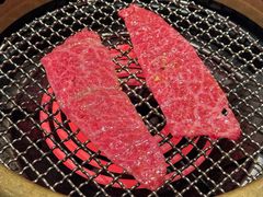 -老乾杯(深圳湾万象城店)