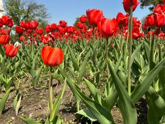 -长春公园(普阳街道)