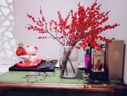 -Fancy梵汐·轻奢量肤定制