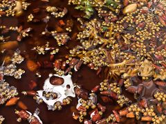 -味之绝热血美蛙鱼火锅(中坝店)