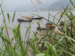 -北岐滩涂
