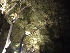 -苏堤停车场