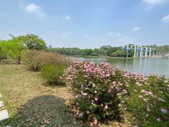 -东莞植物园