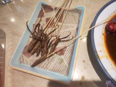 -杨氏青龙虾·羊蝎子(珠江路店)