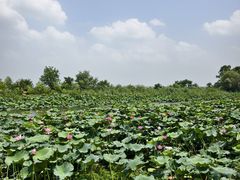 -苏州吴中太湖旅游区