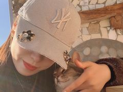 -喵屿·大理花园猫咖