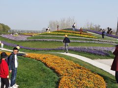 -南通洲际绿博园