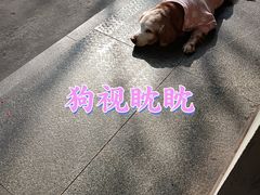 -临平南高铁站(地铁站)